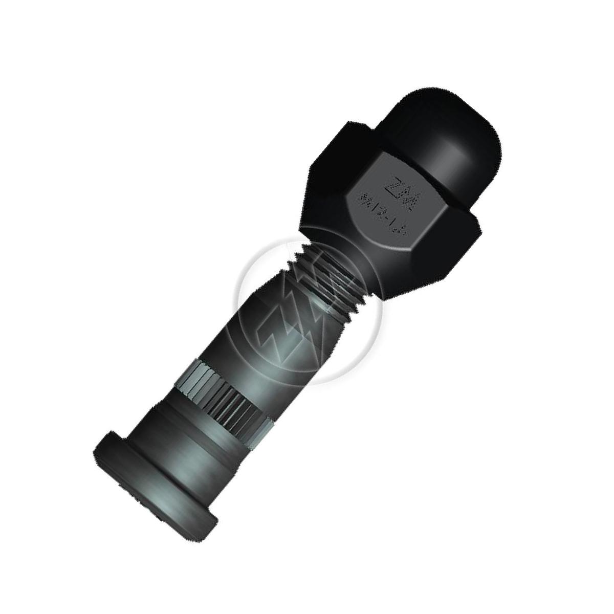Prisioneiro de Roda com Porca Caixa com 50 Unidades para Toyota Hilux - ZM - 40.012.13