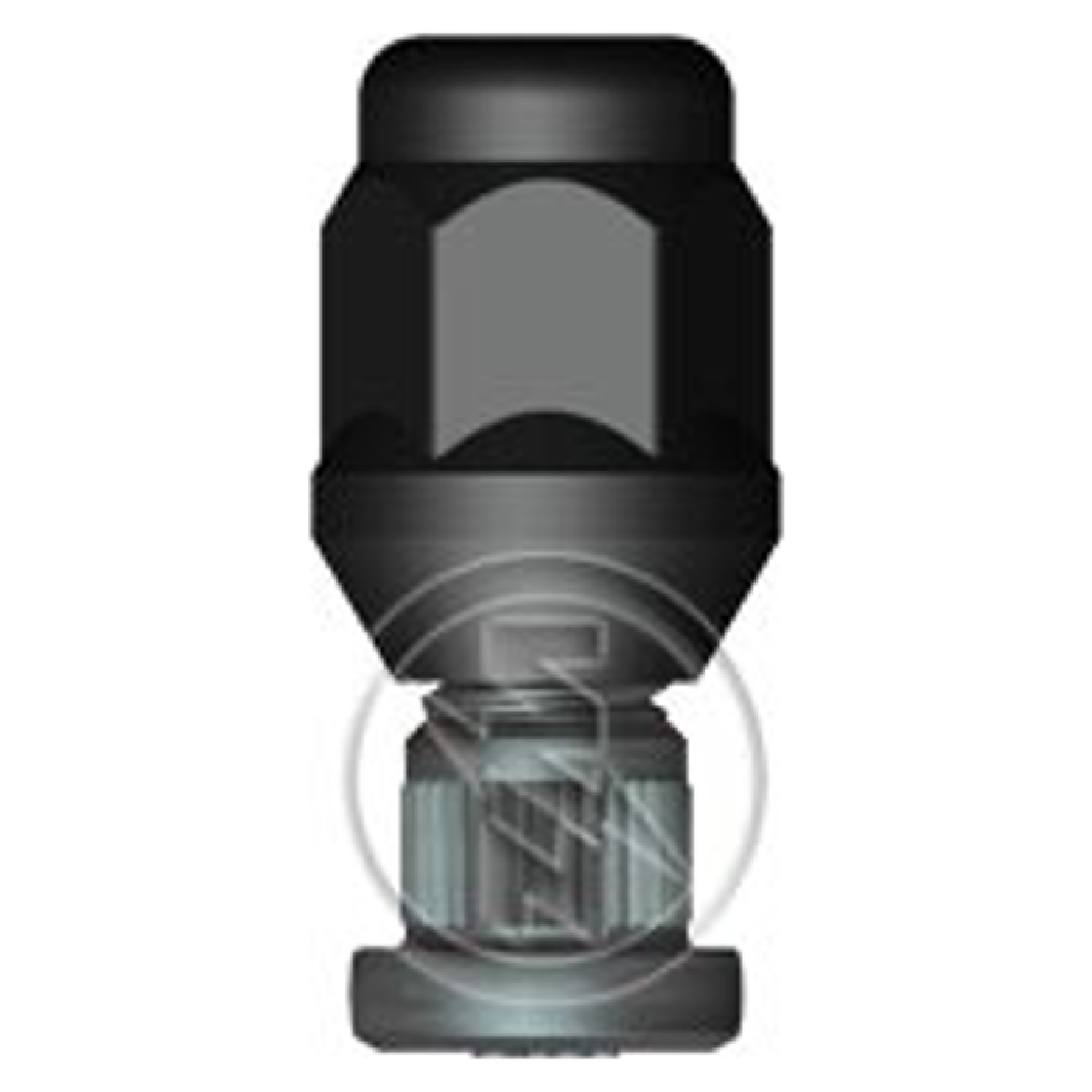 Kit 80 Parafuso Roda M12-1,5x36/41xCH19xH31 - ZM - 40.012.30