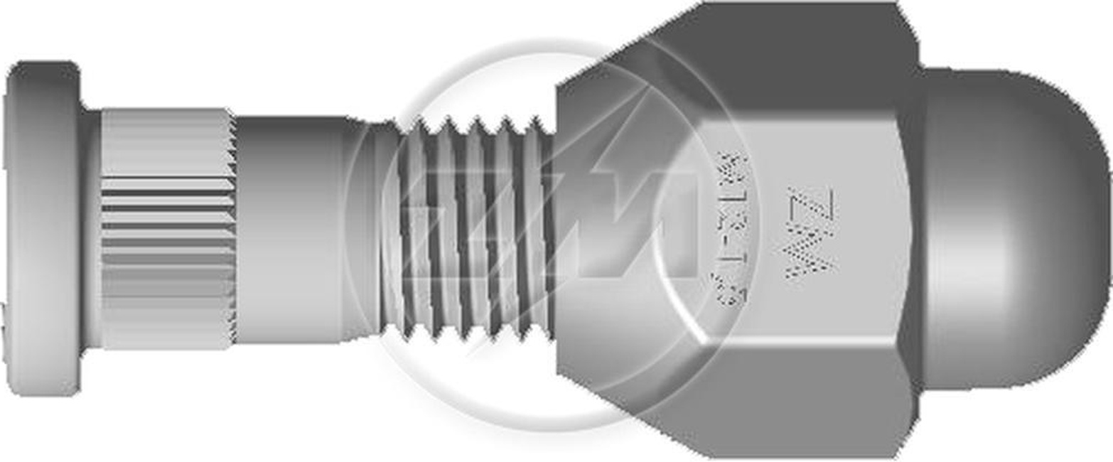 Kit 80 Parafuso Roda M12-1,5x45/49xCH21xH29 - ZM - 40.012.54