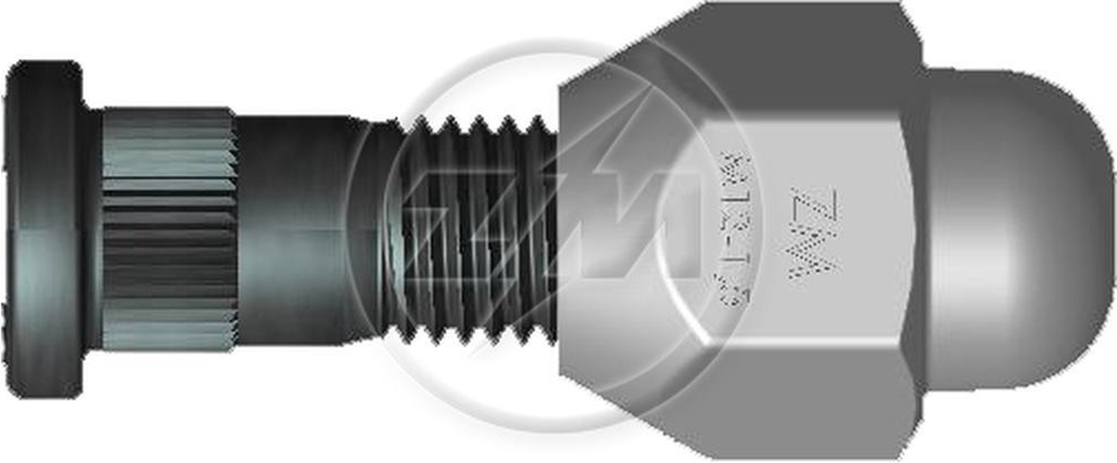 Kit 50 Parafuso Roda M12-1,5x45/49xCH21xH29 - ZM - 40.012.55