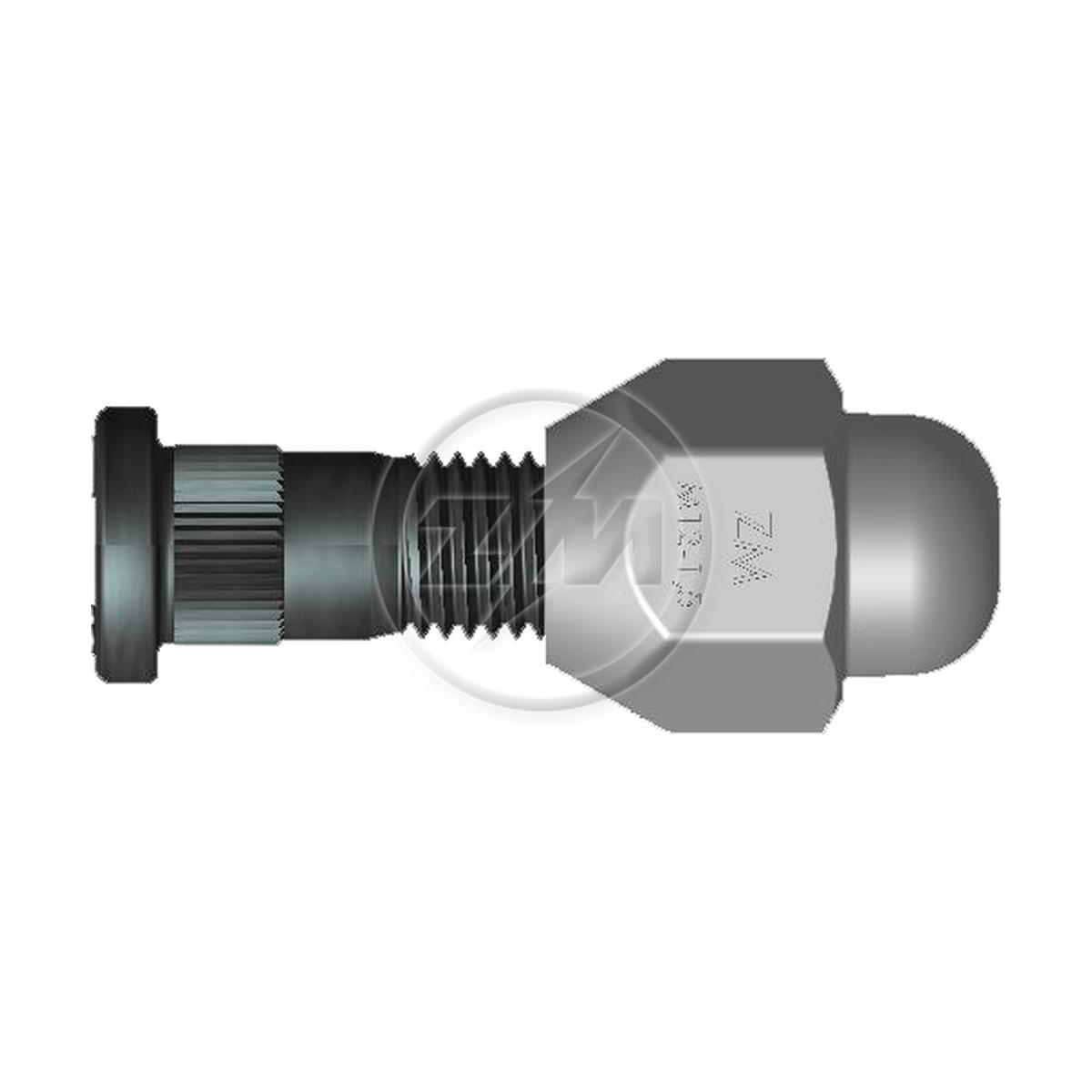 Kit 50 Parafuso Roda M12-1,5x42/46xCH21xH29 - ZM - 40.012.57