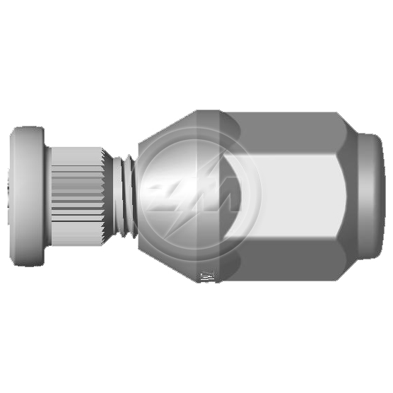 Prisioneiro de Roda com Porca Caixa com 80 Unidades para Mitsubishi L300 - ZM - 40.012.93