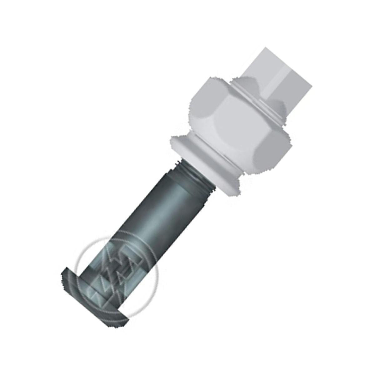 Prisioneiro de Roda com Porca Caixa com 12 Unidades para Ford F-19000 e F-750 - ZM - 40.304.03