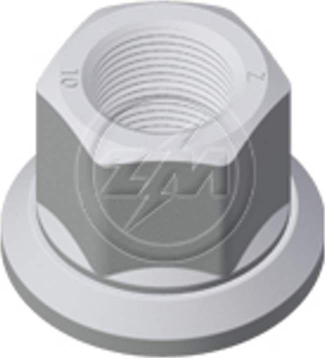Kit 30 Porca da Roda M22-1,5 x CH32 x H33 - ZM - 529.022.04