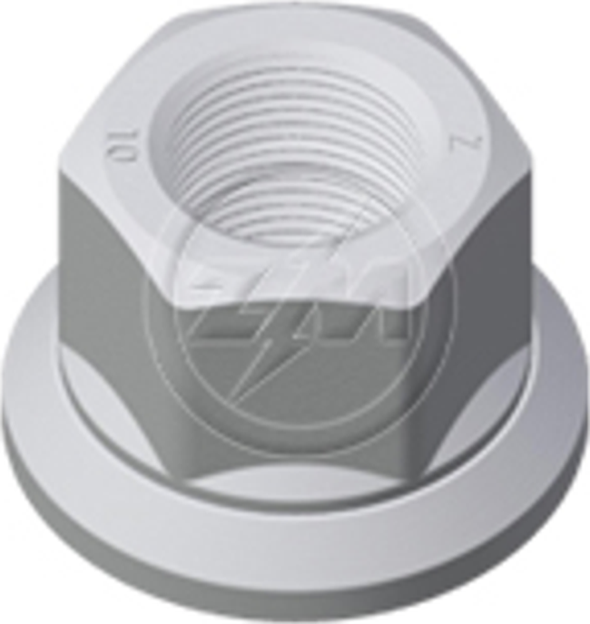 Kit 30 Porca da Roda M22-1,5 x CH33 x H30 - ZM - 529.022.05