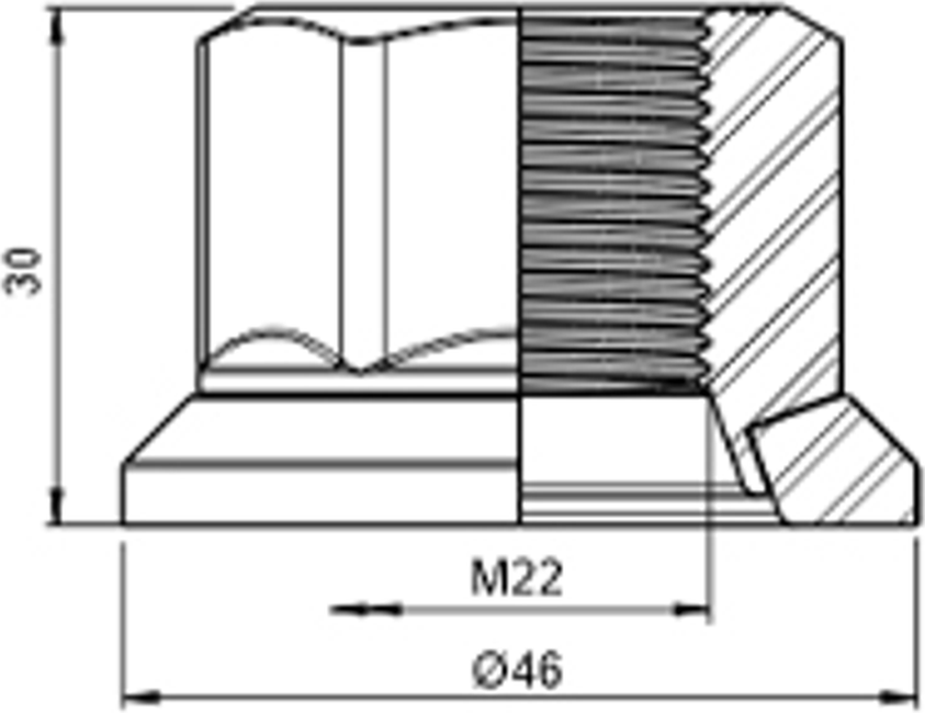 Kit 30 Porca da Roda M22-1,5 x CH33 x H30 - ZM - 529.022.05