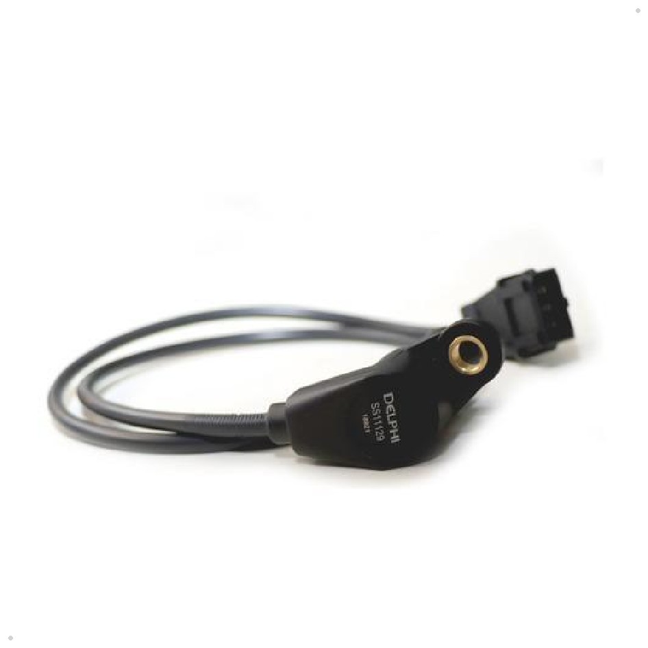 Sensor de Rotação - Delphi - SS11129
