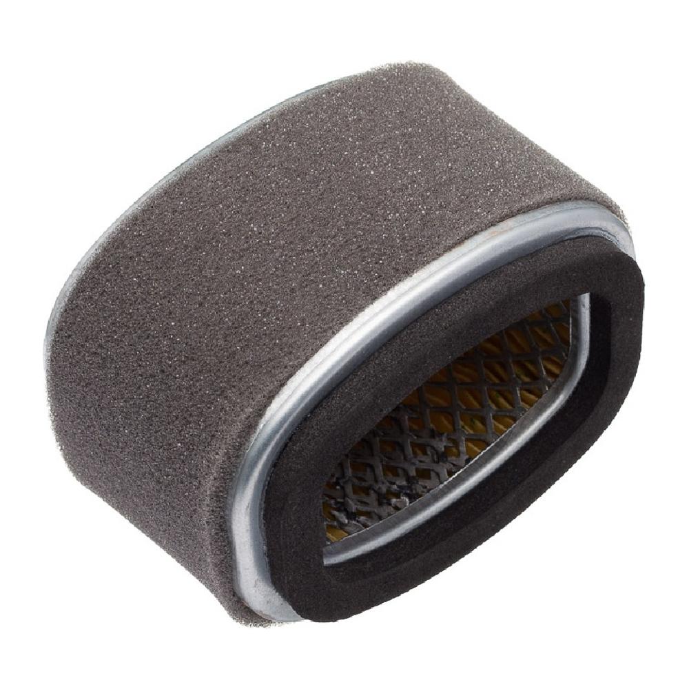 Filtro de Ar para Suzuki Burgman 125I - Fram - CA12189