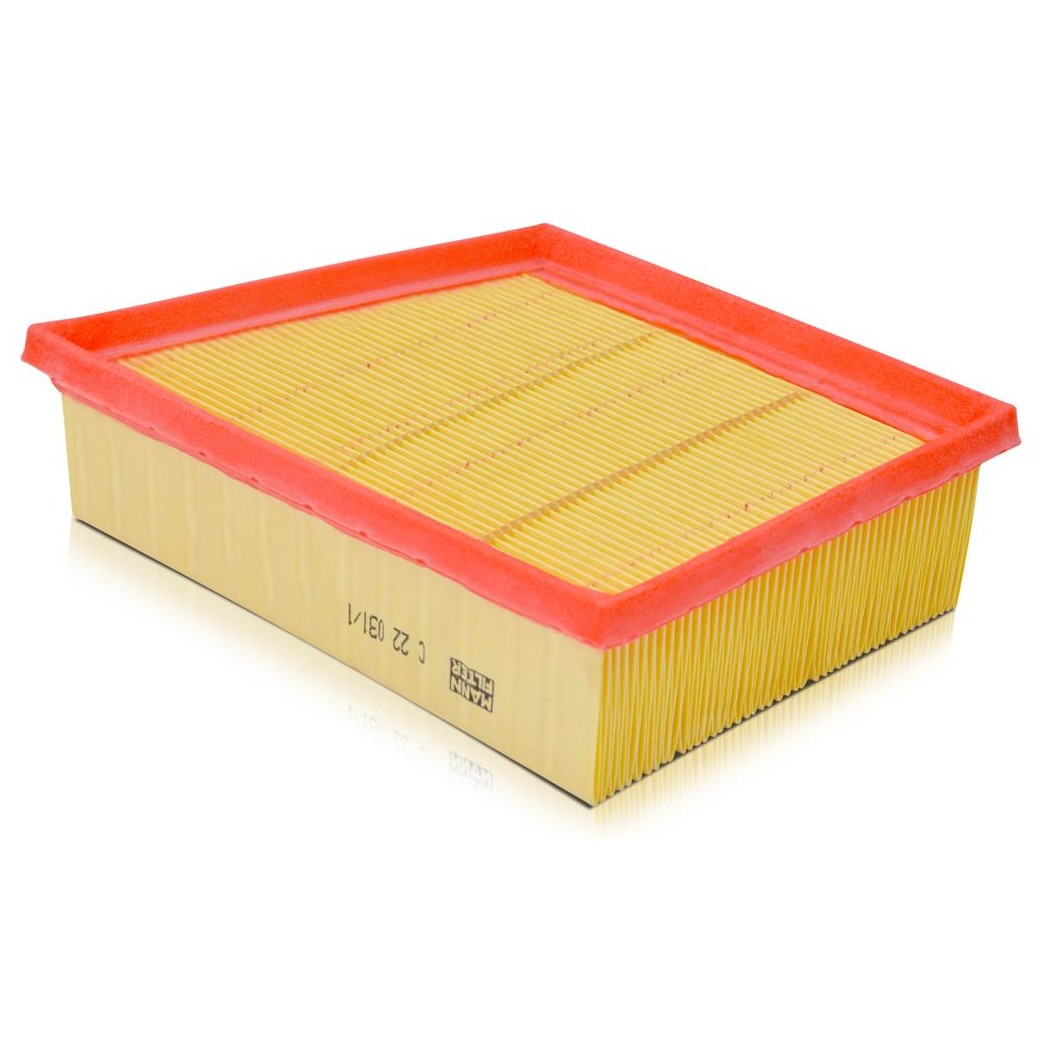 Filtro de Ar para Ford Ecosport e Ka - Mann-Filter - C22031/1