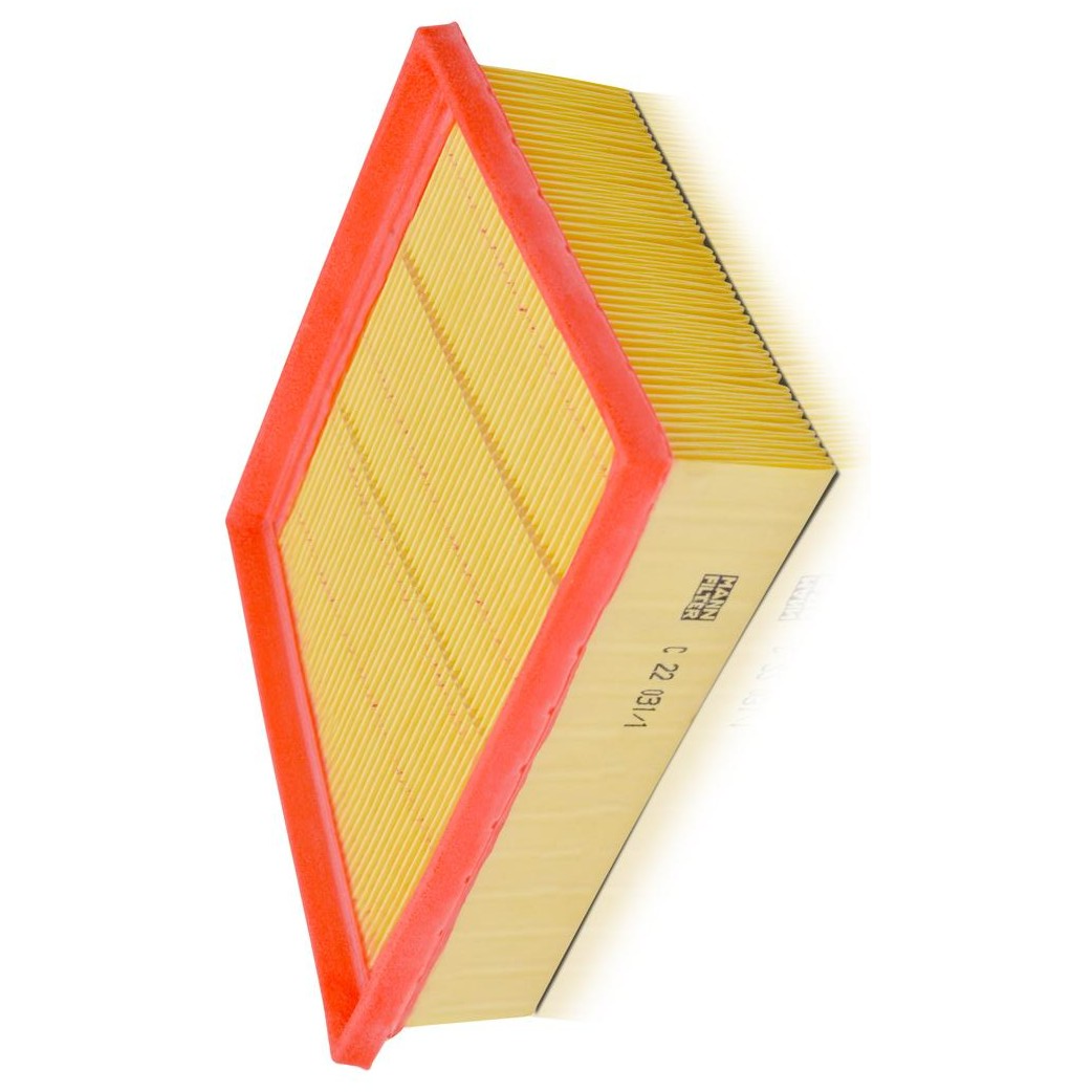 Filtro de Ar para Ford Ecosport e Ka - Mann-Filter - C22031/1