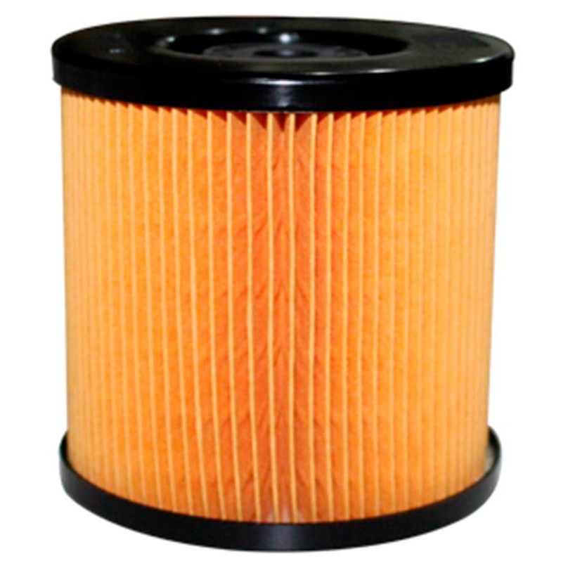 Filtro de Combustível - Delphi - EFS106