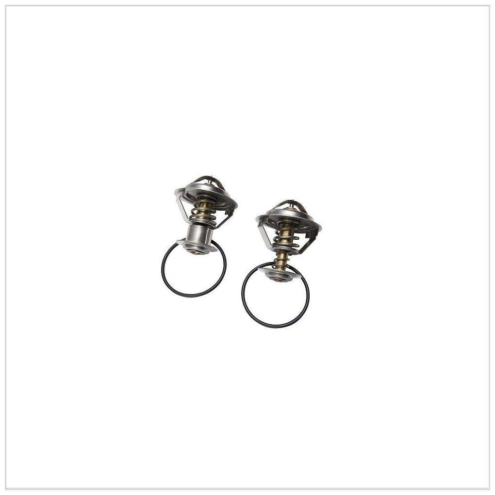 Válvula Termostática para Ford Fiesta - Wahler - 410839.82
