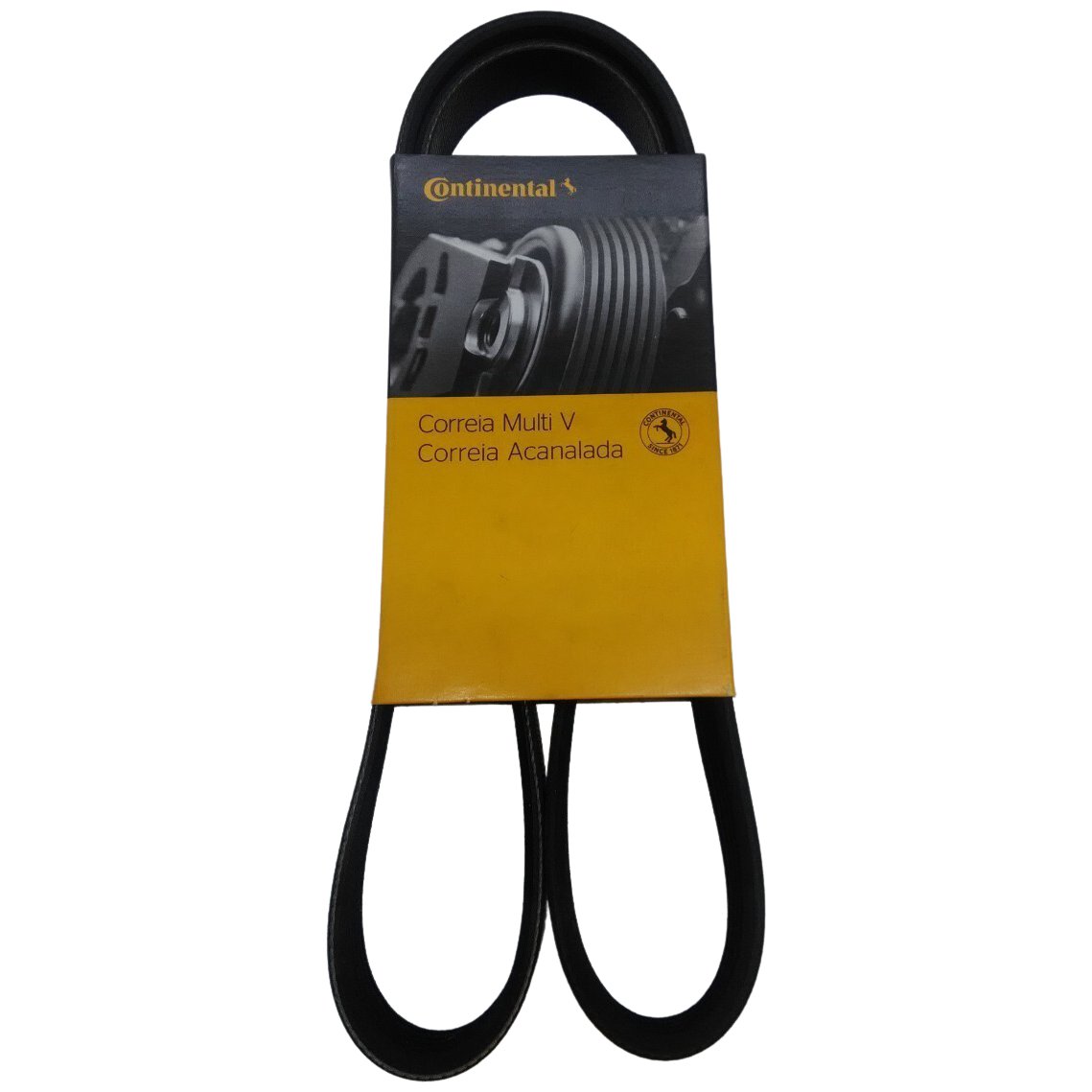 Correia acessórios Micro V - Continental Contitech - 5PK1130