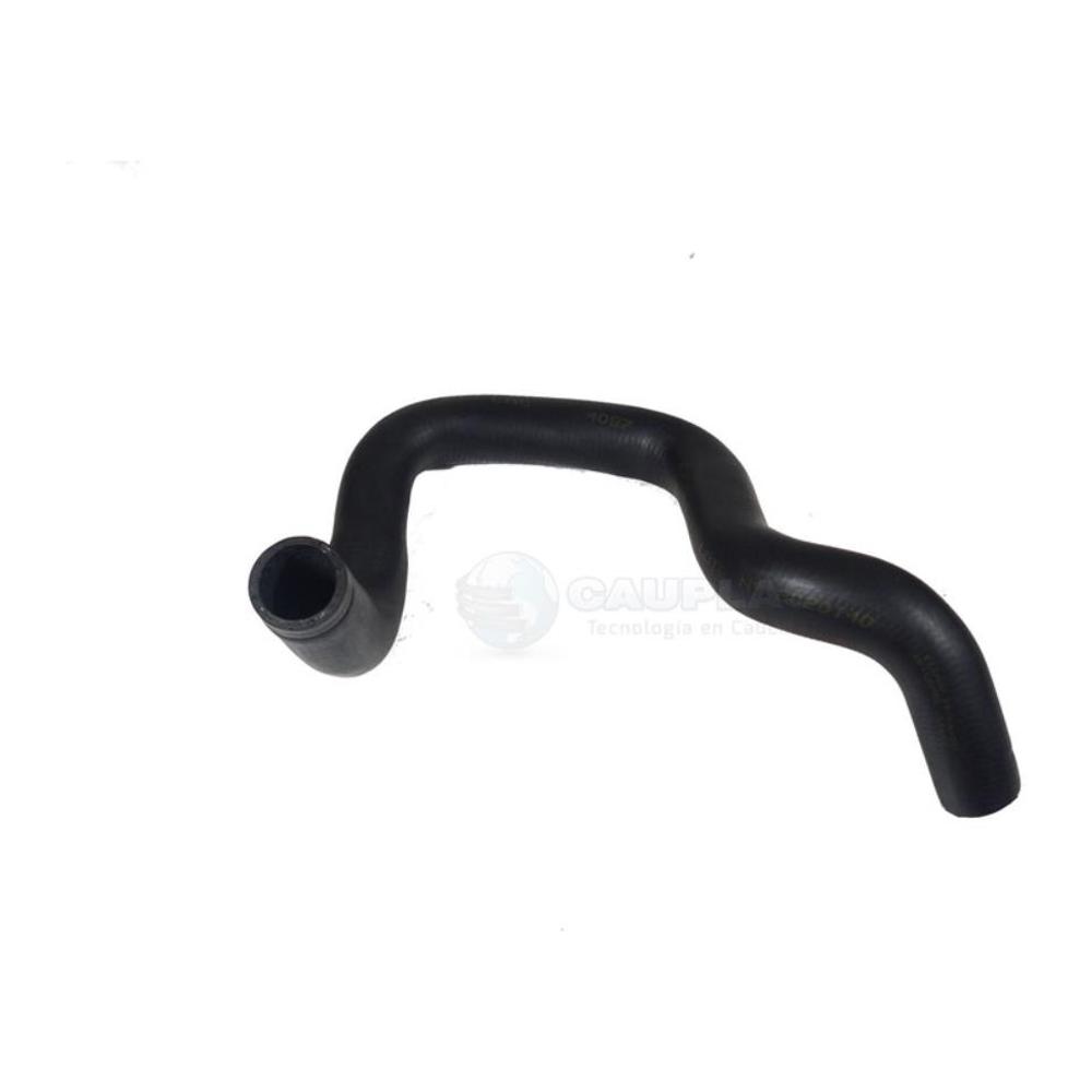 Mangueira do Radiador para Ford Focus e Focus Sedan - Cauplas - 4097