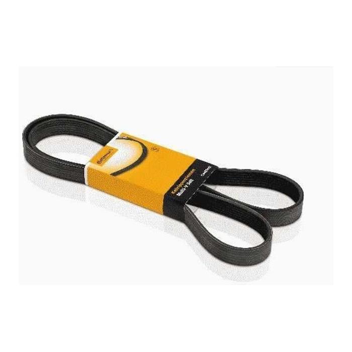 Correia ACD Modelo Micro V - Continental Contitech - 4PK800