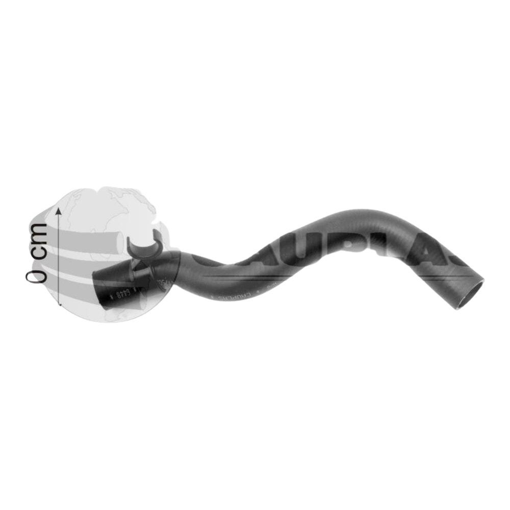 Mangueira do Radiador para Renault Kangoo - Cauplas - 6448