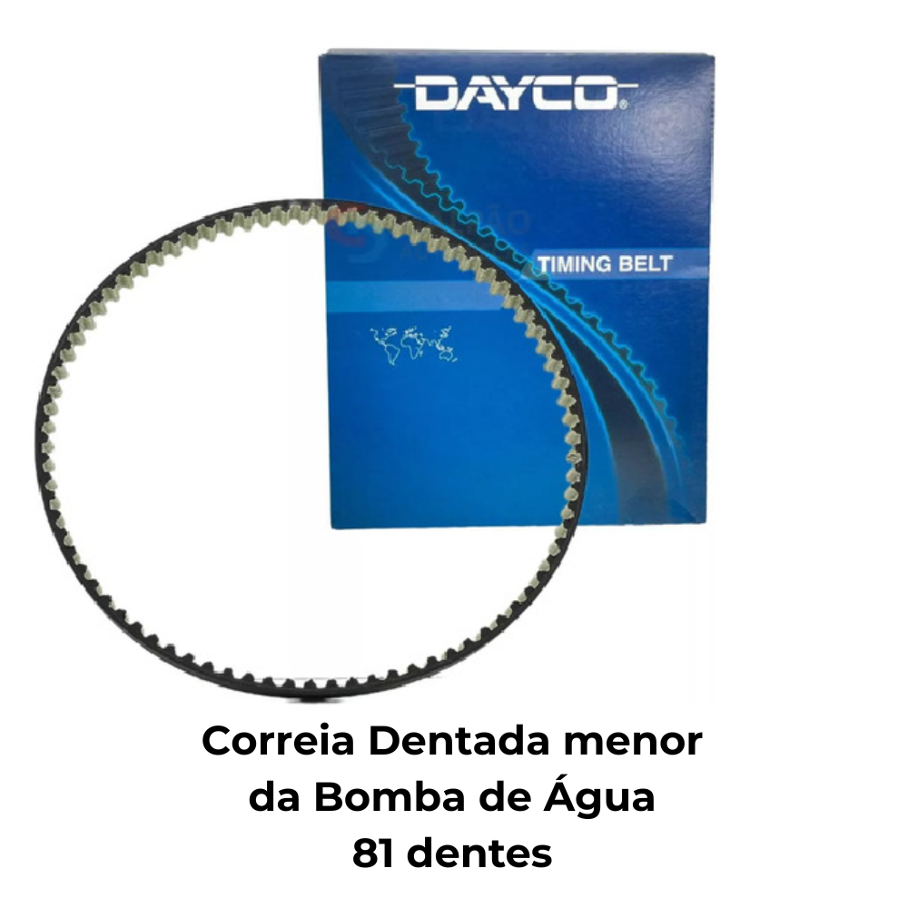 Correia Dentada Sincronizadora - Dayco - 081STP5M100HT