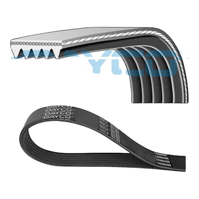 Correia de Acessórios Poly-V 5 Estrias 1125mm para Renault Duster - Dayco - 5PK1125