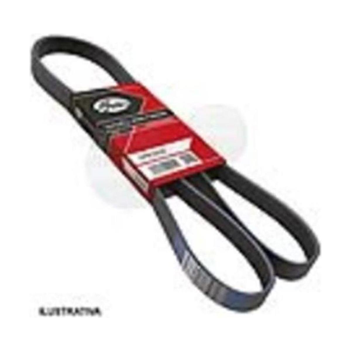 Correia de Acessórios PK Micro V para Honda Civic - Gates - 6PK0985