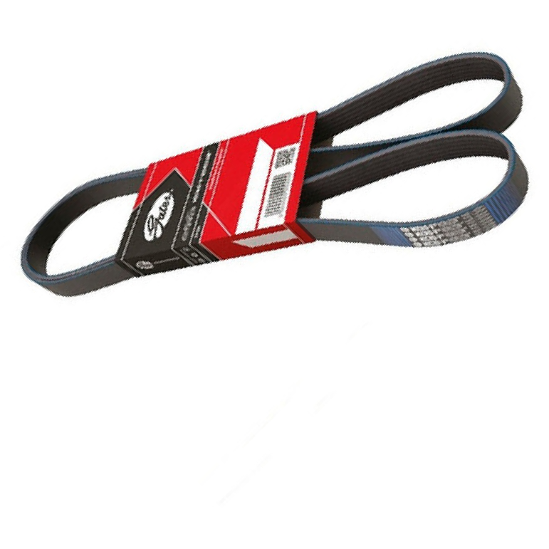Correia de Acessórios Modelo Micro V - GATES - 6PK2245