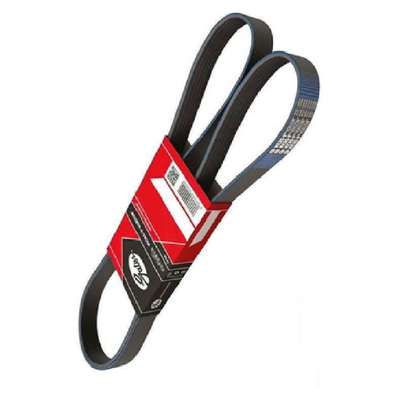 Correia de Acessórios Modelo Micro V - GATES - 6PK2245