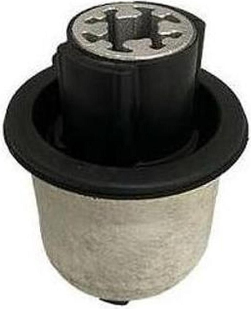 Bucha da Bandeja Traseira para Citroen Jumpy e Peugeot Expert - Sampel - 8538