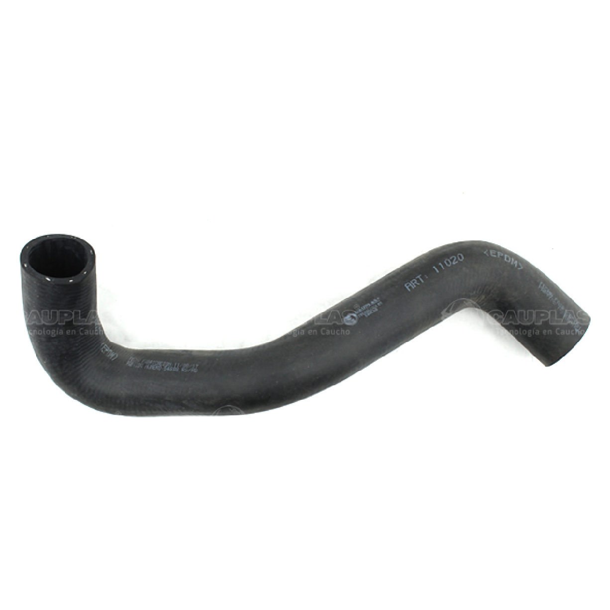 Mangueira do Radiador Inferior para Ford Focus - Cauplas - 11020