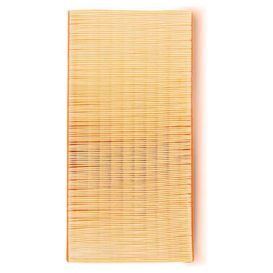 Filtro de Ar para Kia Carens e Shuma - Fram - CA8548