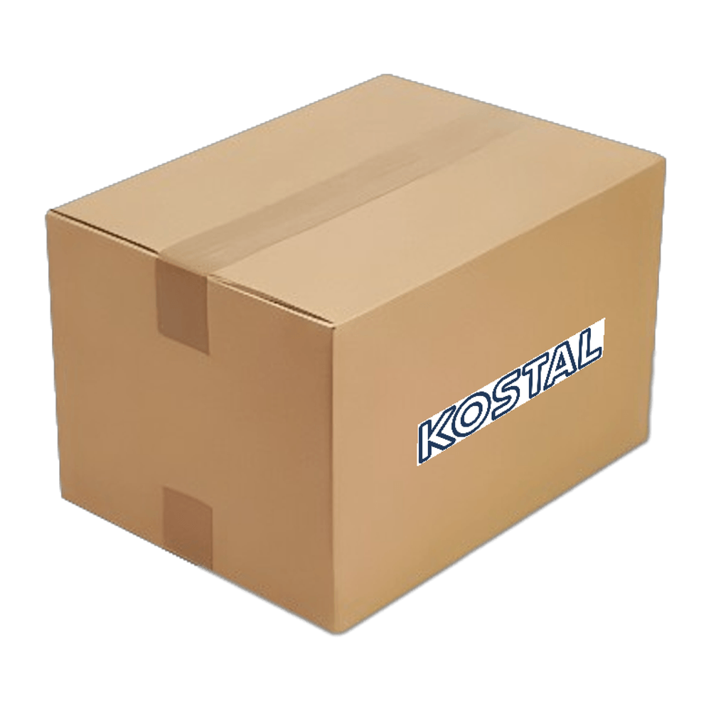 Chave do Limpador de Para-brisa - Kostal - 1202002