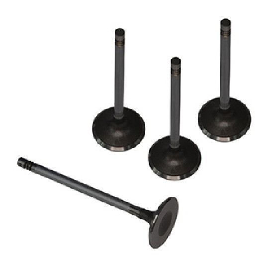 Kit 4 Válvula de Admissão - KS PIERBURG - 50017091