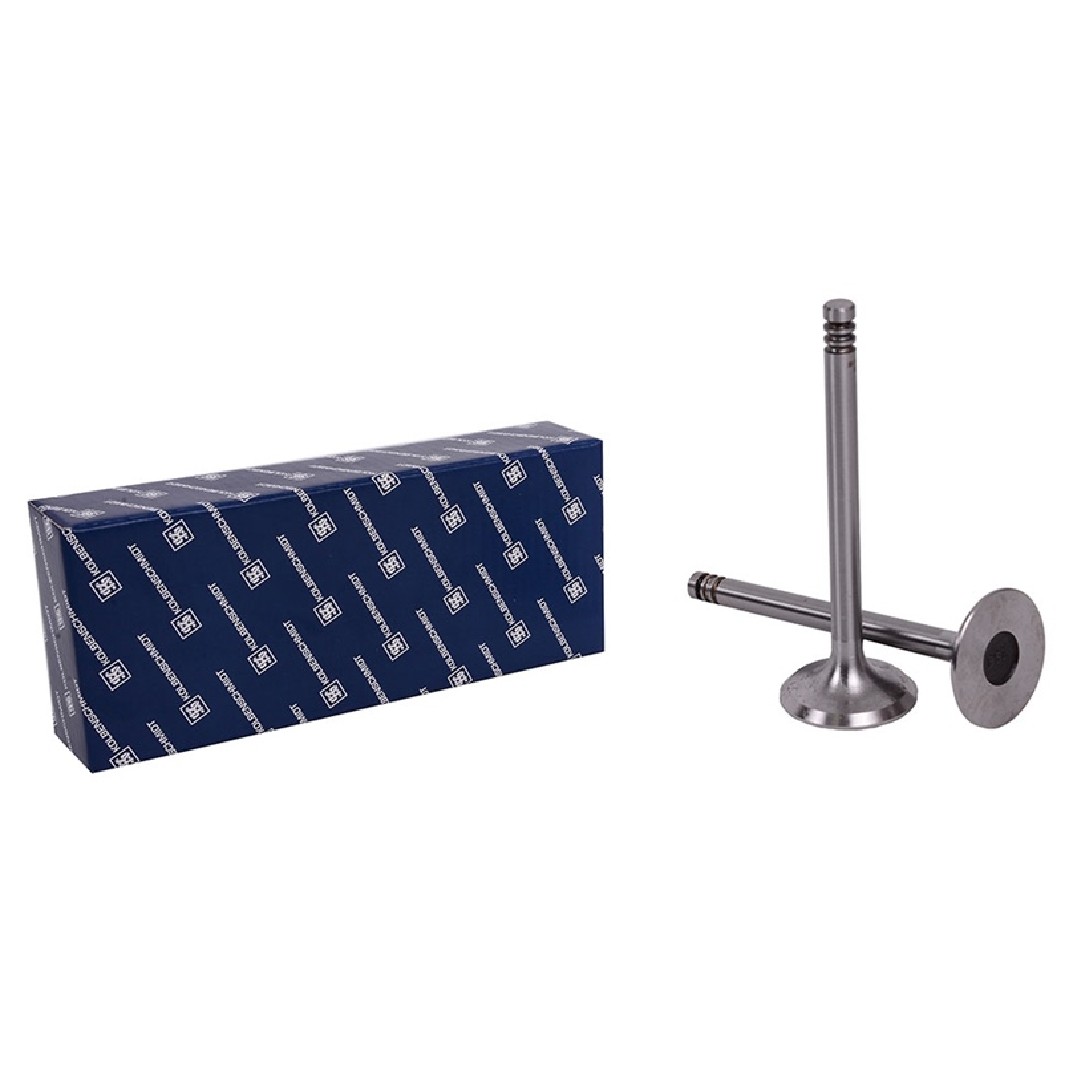 Kit 4 Válvula de Admissão - KS PIERBURG - 50017852
