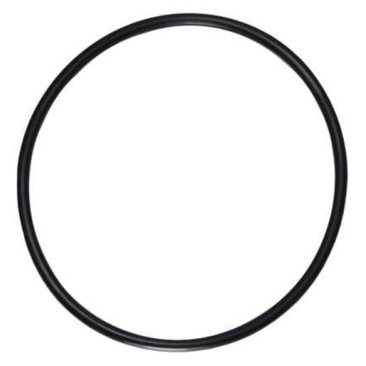 Guarnição Flange Módulo Combustível Borracha para Chevrolet S10 e Trailblazer - DS - 1467