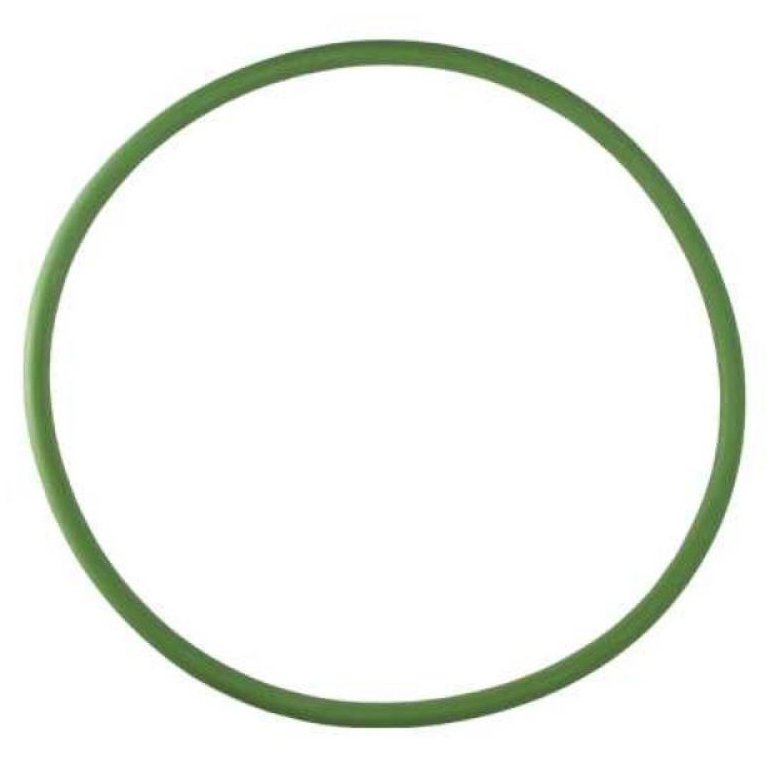 Guarnição da Flange do Módulo de Combustível Traseiro Verde - DS - 1468