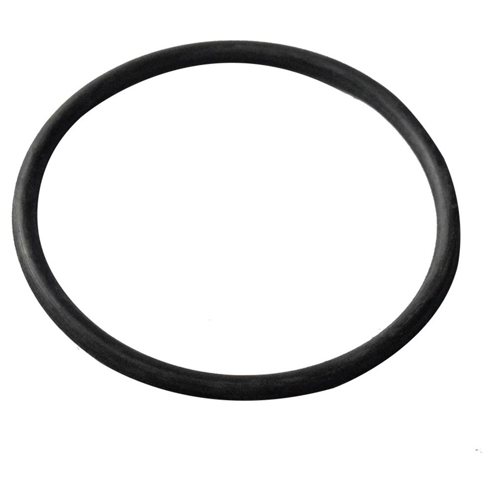 Guarnição da Flange do Módulo de Combustível para Chevrolet Blazer e S10 - DSC - 2071