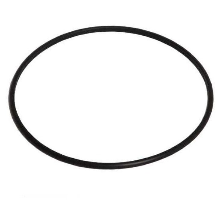 Guarnição da Flange do Módulo de Combustível - DSC - 2088