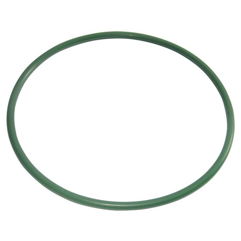 Guarnição da Flange do Módulo de Combustível - DSC - 2099