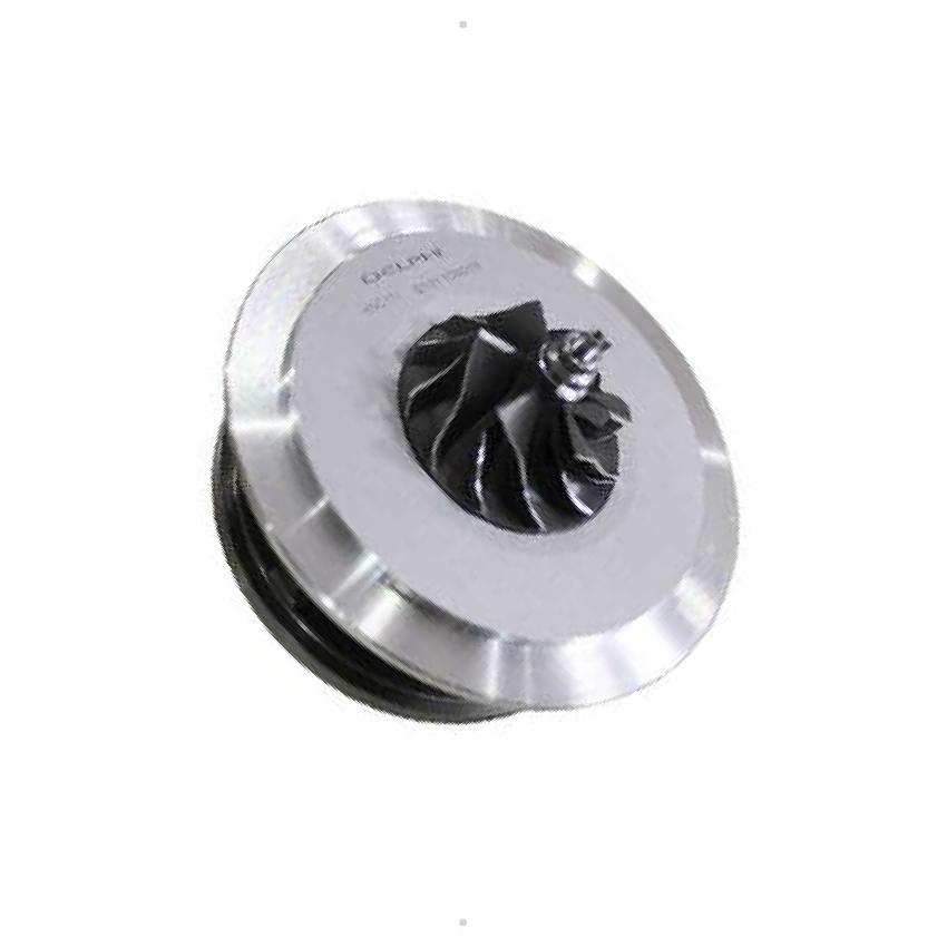 Conjunto Central da Turbina - Delphi - HNC171