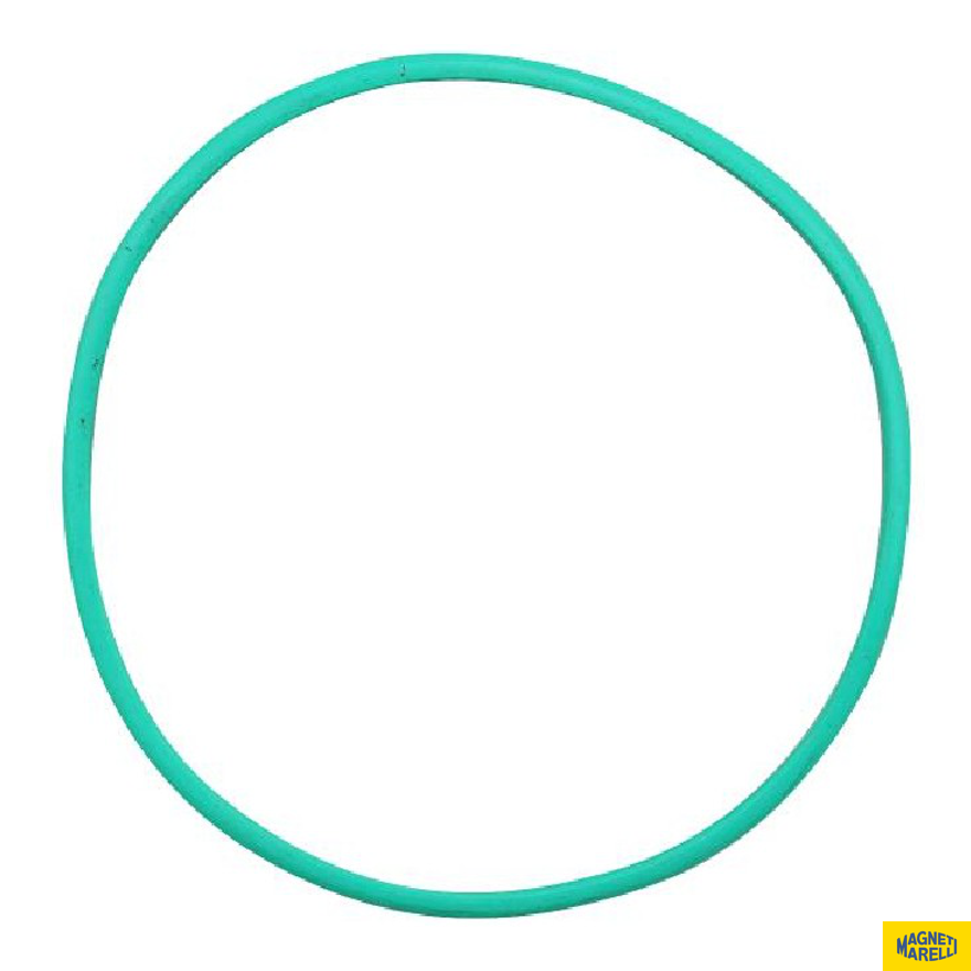 Guarnição Da Flange Do Módulo De Combustível - Magneti Marelli - GFMC6202