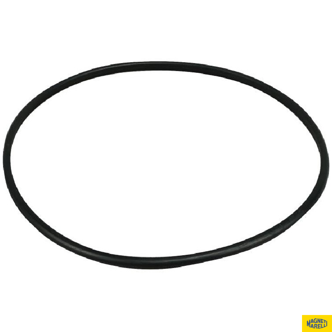 Guarnição Da Flange Do Módulo De Combustível - Magneti Marelli - GFMC6502