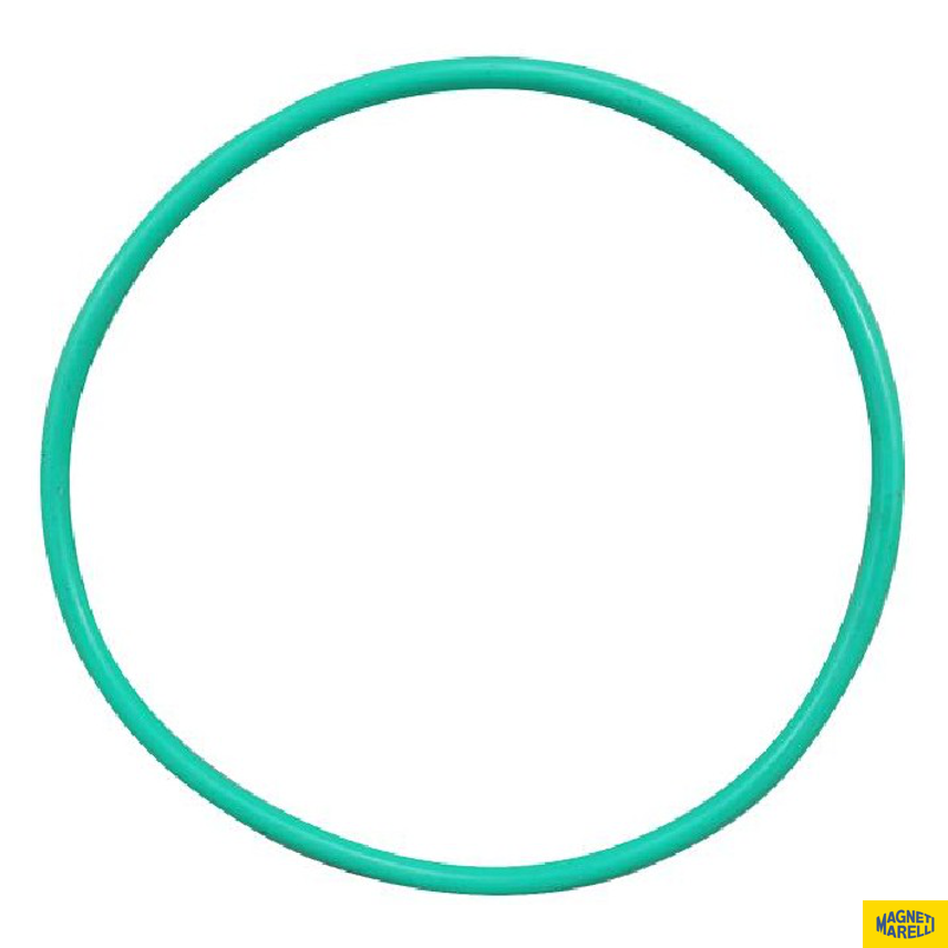 Guarnição Da Flange Do Módulo De Combustível - Magneti Marelli - GFMC7002