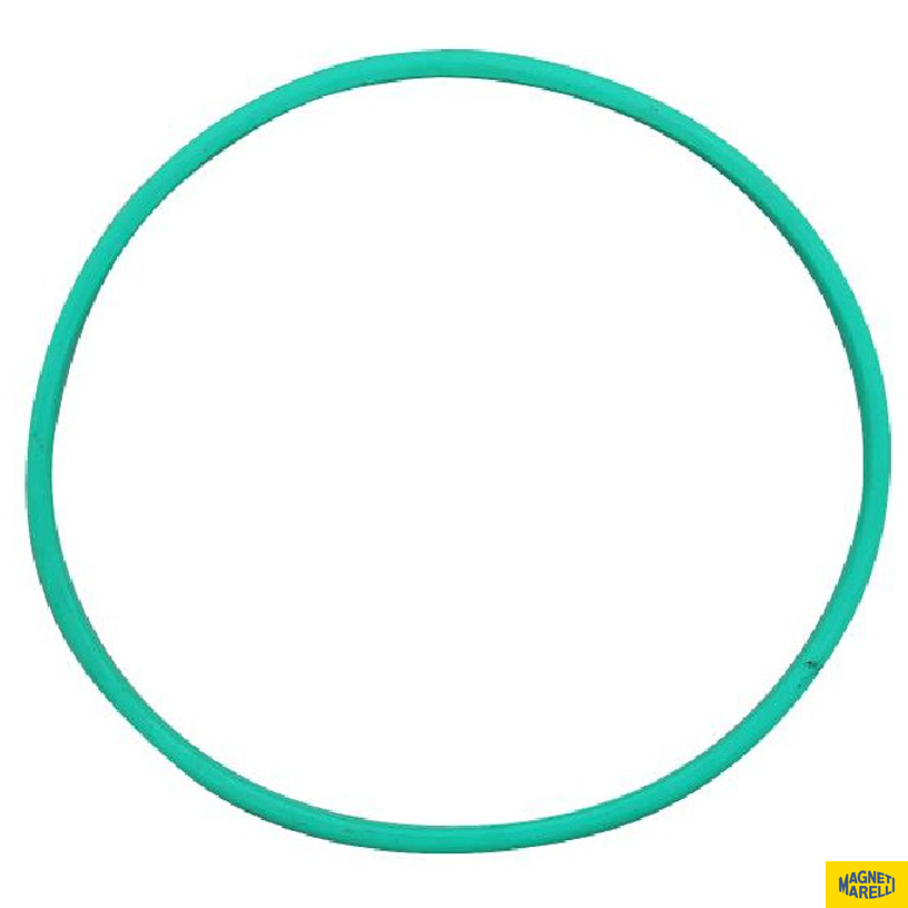 Guarnição Da Flange Do Módulo De Combustível - Magneti Marelli - GFMC6302