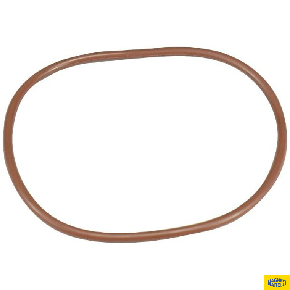Guarnição Da Flange Do Módulo De Combustível - Magneti Marelli - GFMC6902