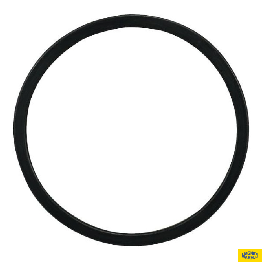 Guarnição da Flange do Módulo de Combustível para Hyundai Santa Fé e KIA Soul - Magneti Marelli - GFMC7902