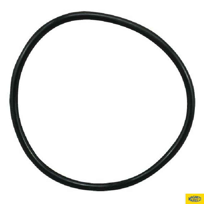 Guarnição da Flange do Módulo de Combustível para Fiat Mobi - Magneti Marelli - GFMC7202