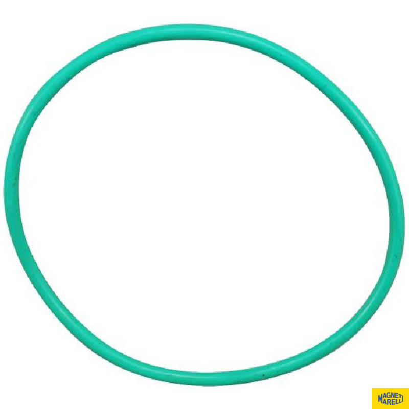 Guarnição Da Flange Do Módulo De Combustível - Magneti Marelli - GFMC6802