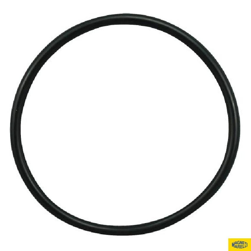 Guarnição Da Flange Do Módulo De Combustível - Magneti Marelli - GFMC8002