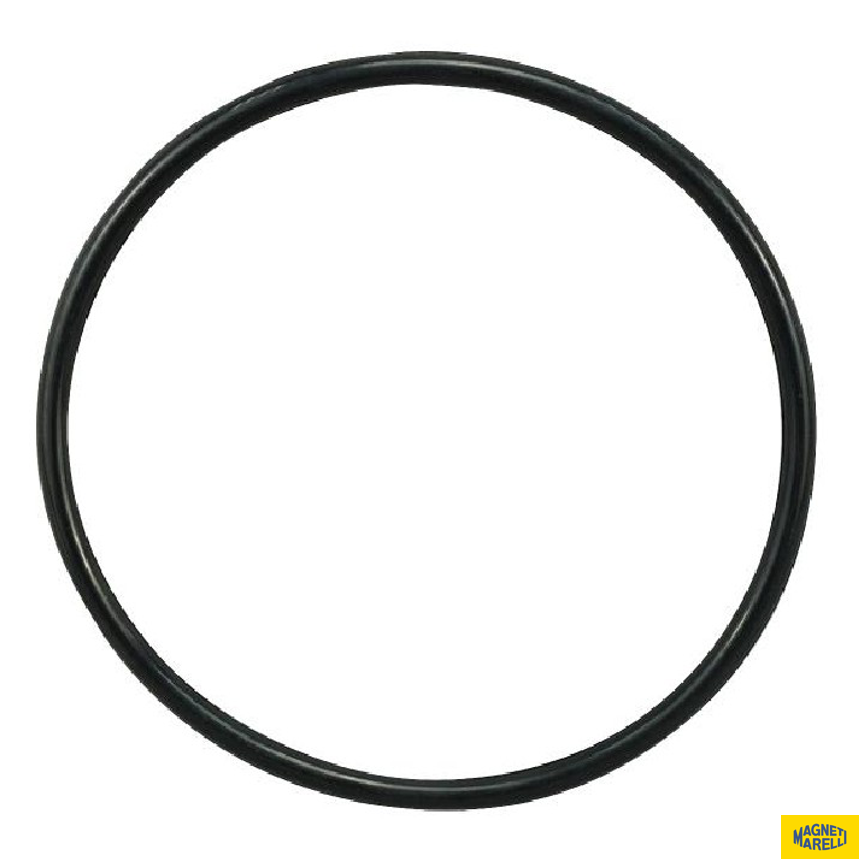 Guarnição Da Flange Do Módulo De Combustível - Magneti Marelli - GFMC6602