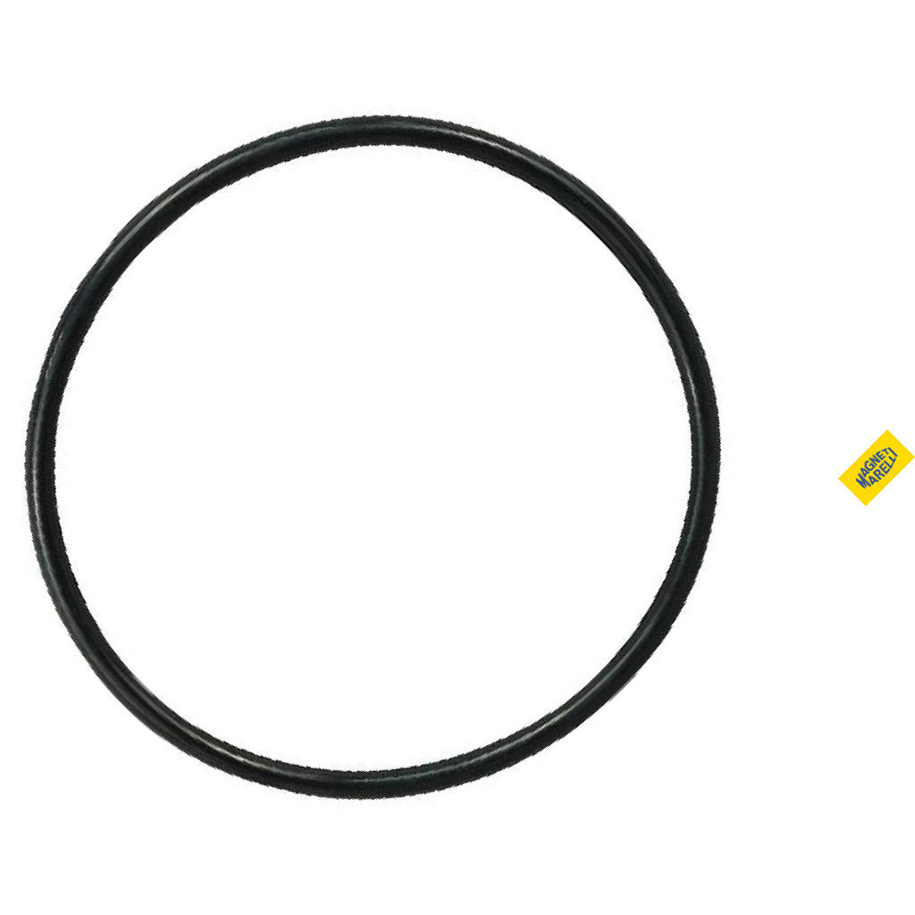 Guarnição Da Flange Do Módulo De Combustível - Magneti Marelli - GFMC6602