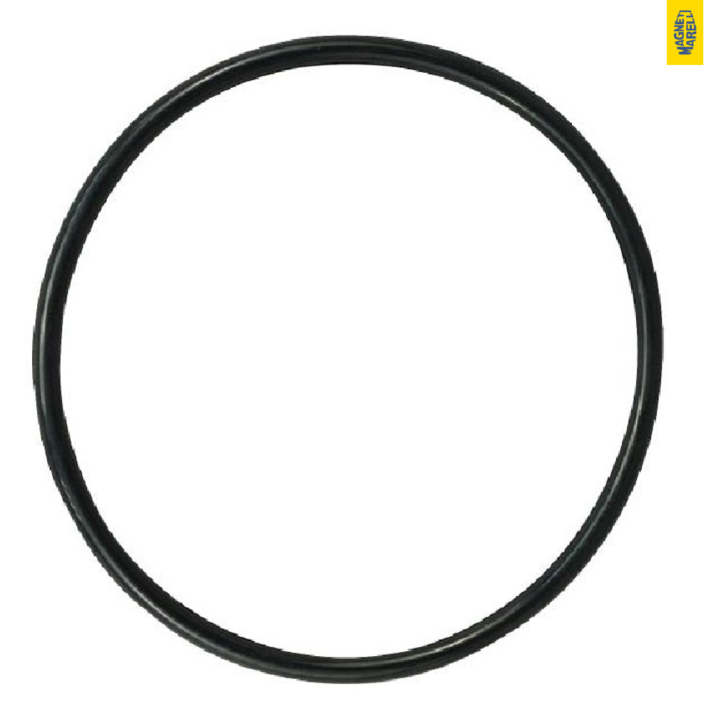 Guarnição Da Flange Do Módulo De Combustível - Magneti Marelli - GFMC6602