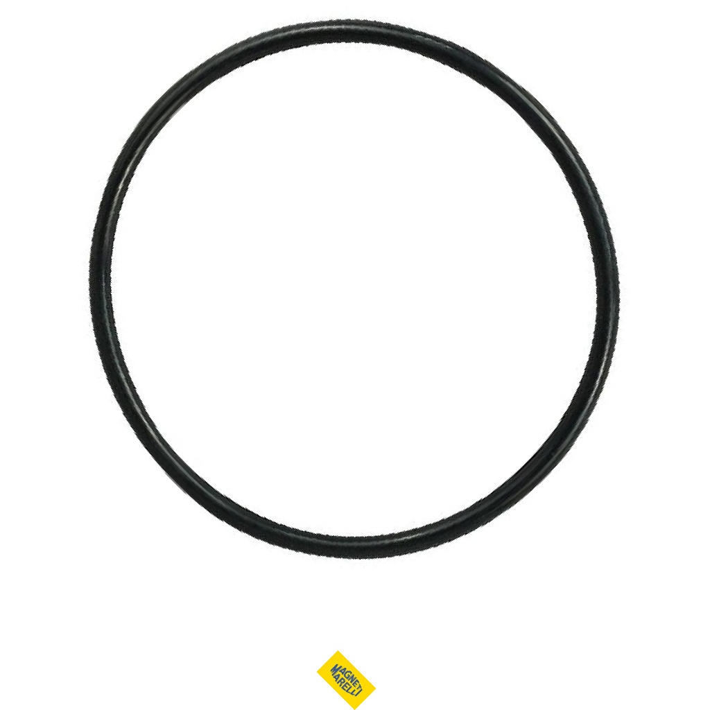 Guarnição Da Flange Do Módulo De Combustível - Magneti Marelli - GFMC6602
